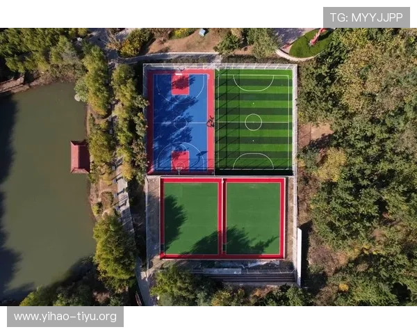 八里台体育公园项目完工后的使用效果与公众反馈，评估其对城市体育文化发展的促进作用